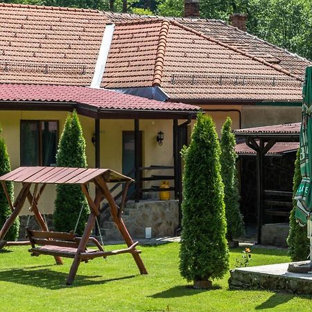 Villa Casa Alex à Văliug Extérieur photo