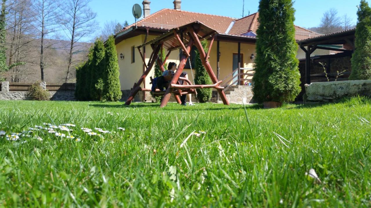 Villa Casa Alex à Văliug Extérieur photo