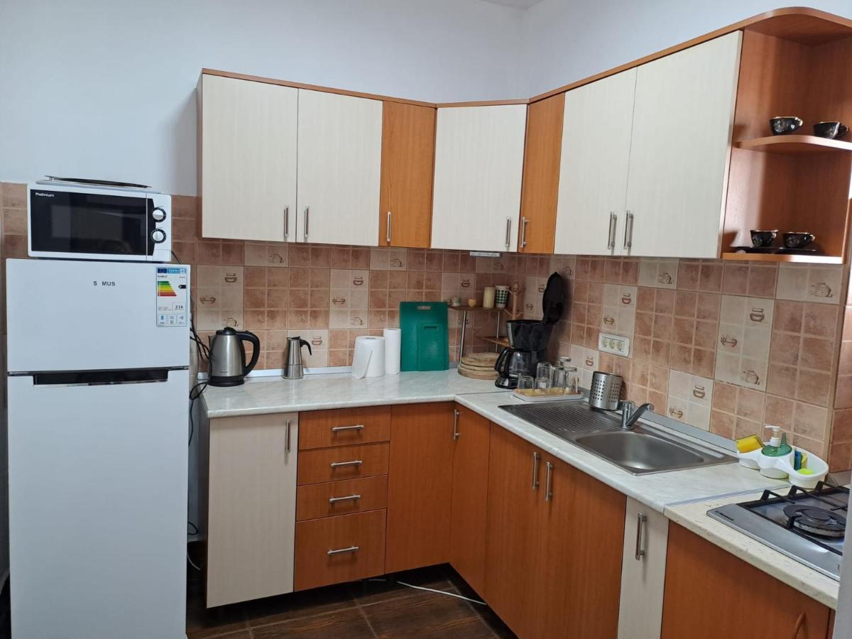 Villa Casa Alex à Văliug Extérieur photo