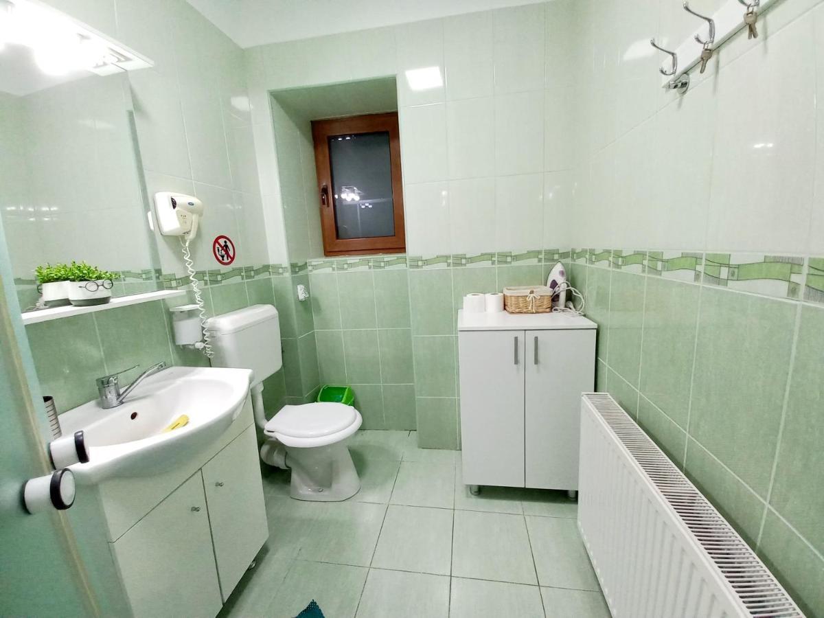 Villa Casa Alex à Văliug Extérieur photo