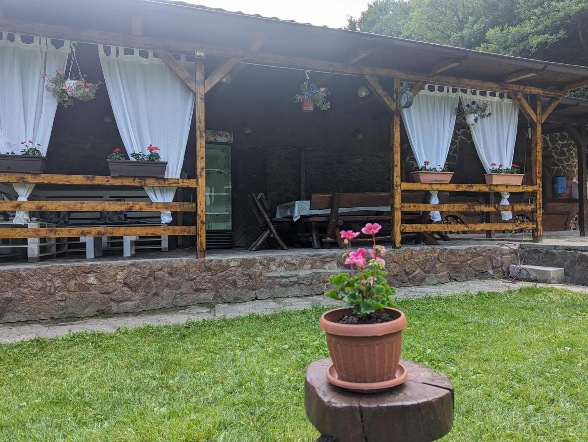 Villa Casa Alex à Văliug Extérieur photo