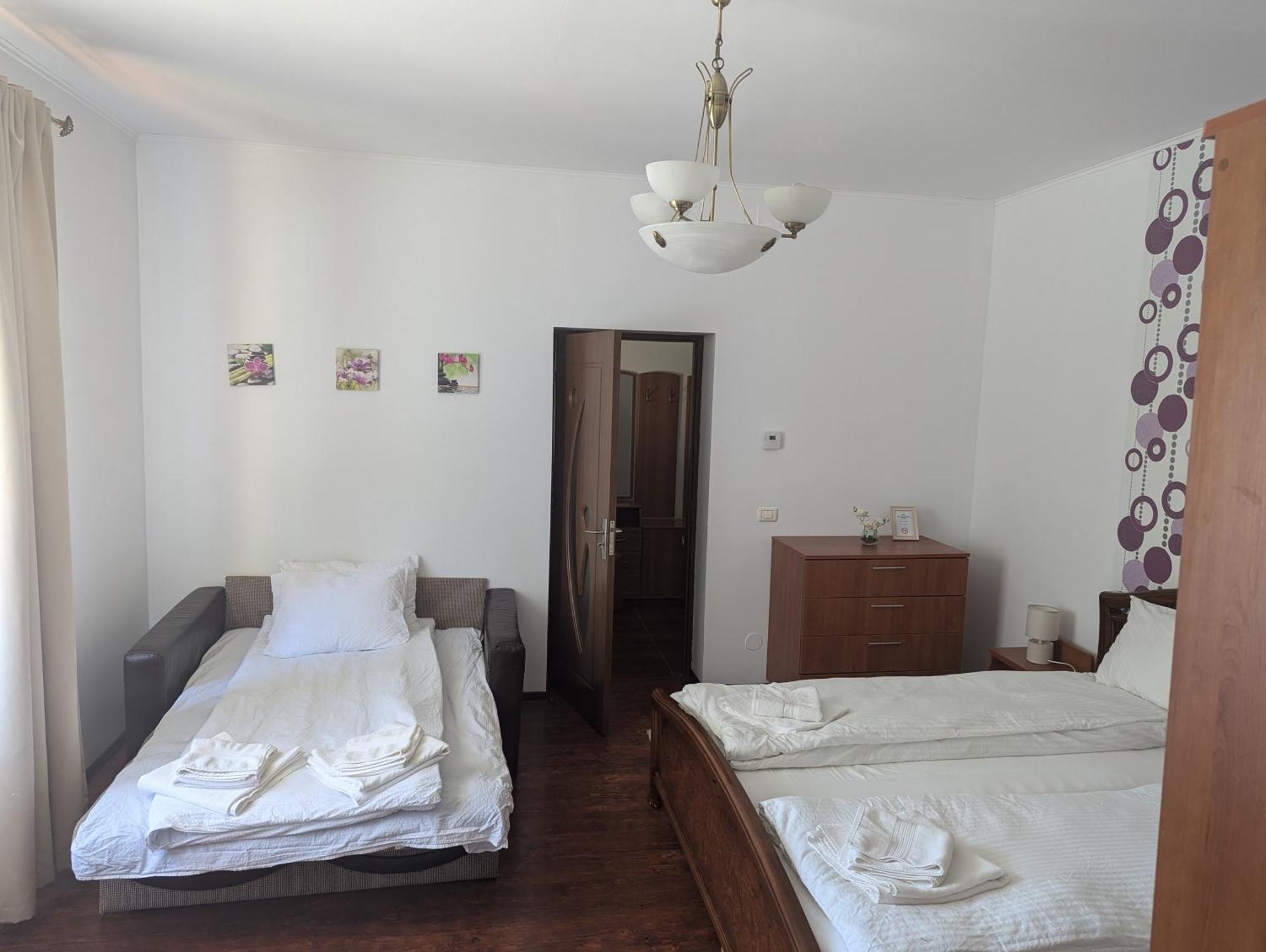 Villa Casa Alex à Văliug Extérieur photo